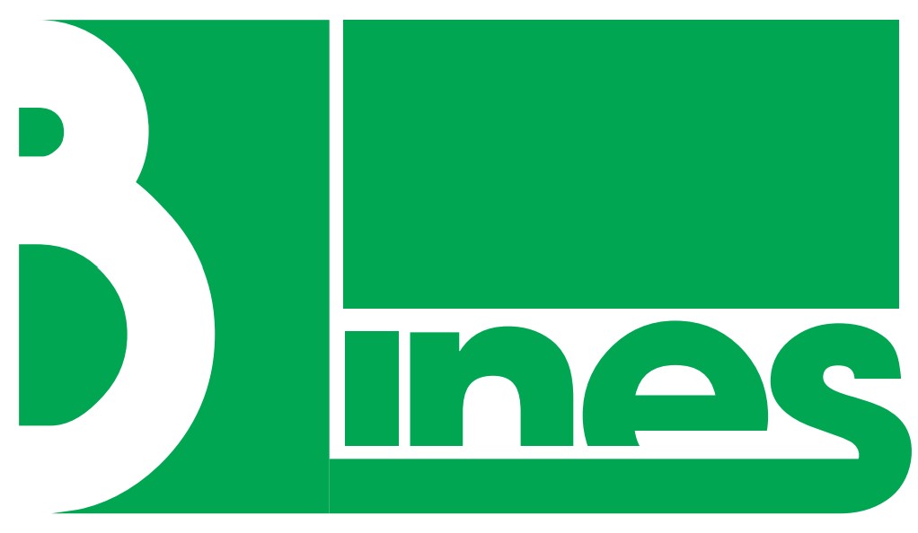 B Lines – Giải pháp Logistics & Giao nhận Vận tải Toàn diện tại Việt Nam