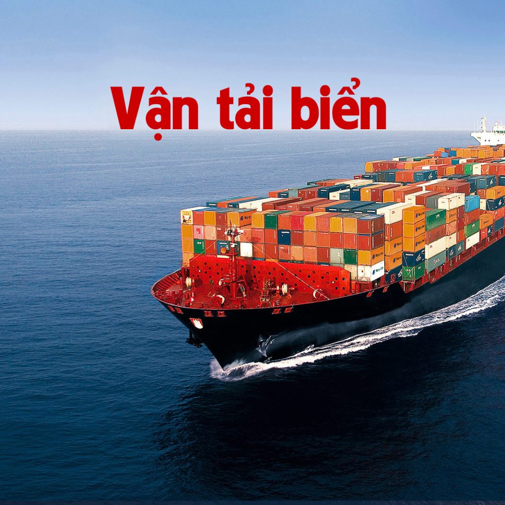 Vận tải Đường biển – Xương Sống của Nền Kinh Tế Toàn Cầu và Vai Trò của B Lines 2